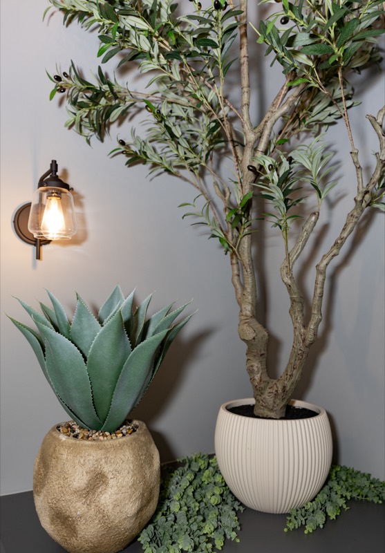 Olive, agave, sconce